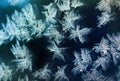 Frost patterns on window glass Royalty Free Stock Photo