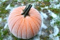 Frost on Pumpkin Royalty Free Stock Photo