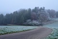 Frost on rural landscape on misty morning Royalty Free Stock Photo