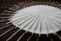 Frost on a rusty garden rake