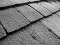 Frost on Shingles