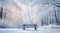 frost snowy bench