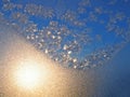 Frost and sun Royalty Free Stock Photo