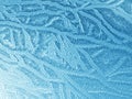 Frost texture Royalty Free Stock Photo