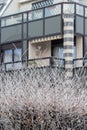 Frost tree branches and modern apartment building in background