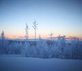 Frost on a tree, pink mountains in Arjeplog