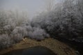 Frost in the trees on a cold winter morning in the river Royalty Free Stock Photo