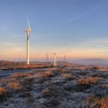 Frost windfarm Royalty Free Stock Photo