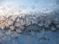 Frost on the window Royalty Free Stock Photo