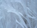 Frost on windowpane Royalty Free Stock Photo