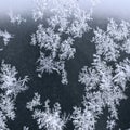 Frost on windowpane in winter night