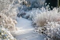 frostcovered path with a fuzzy winter garden scene