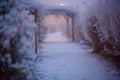 frostcovered walk on chilly morning, with dim, fuzzy winter garden