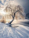 Frosted branches with glimmering background. Royalty Free Stock Photo