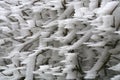 Frosted branches of plum hedge.