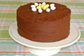 Frosted Chocolate fudge Layer Easter Cake homemade