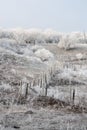 Frosted fence of winter morning Royalty Free Stock Photo