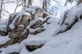 Frosted forest on snow covered stone mountain range