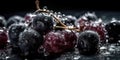 Frosted Fresh Grapes Bunches On Dark Background with Copy Space Selective Focus