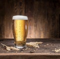 Frosted glass of beer on the wooden table Royalty Free Stock Photo