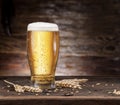 Frosted glass of beer on the wooden table. Royalty Free Stock Photo