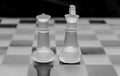 Frosted glass chess pieces Royalty Free Stock Photo