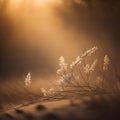 Frosted grass in the meadow at sunset. Beautiful natural background. generative ai Royalty Free Stock Photo