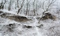 Frosted hill of winter morning panorama Royalty Free Stock Photo