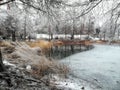 Frosted lake in a winter glowy afternoon