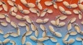 Frosted Maple Seeds Pattern on Gradient Winter Background Royalty Free Stock Photo