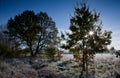 Frosted meadow landscape with blue sky