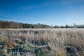 Frosted meadow landscape with blue sky