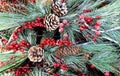 Frosted Pine Cones and Berries Royalty Free Stock Photo