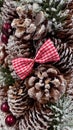 Frosted pine cones, red gingham bow, and berries creating a rustic Christmas background Royalty Free Stock Photo