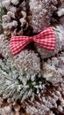 Frosted pine cones, red gingham bow, and berries creating a rustic Christmas background Royalty Free Stock Photo
