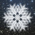 Frosted snowflake wallpaper, vector