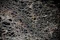 Detail of frosted spider web, abstract nature background Royalty Free Stock Photo