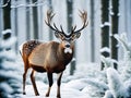 Frosted Textures of deer hors : Capturing Winter Wildlife in 4K