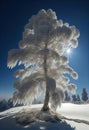 Frosted tree at sunrise. Ai generative