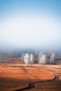 Frosted trees on the hills in countryside in misty morning Royalty Free Stock Photo