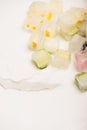 Frosted vegetable and fruit cubes on