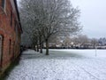 Frosted walnut trees on a snow-covered meadow