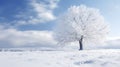 Frosted white tree on frosty winter day against blue sky with gentle fluffy clouds. Snow-covered fields. Atmosphere of calm