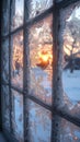 Frosted Windowpane Obscuring a Wintry Morning The frost blurs with light