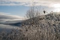 Frosted winter landscape in cold temperature with ice and hoar frost on lake, rime on crisp, frozen leaves and mountains Royalty Free Stock Photo