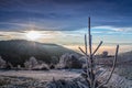 Frosti Wintermorning landscape Royalty Free Stock Photo