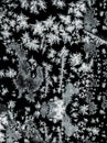 Frostwork pattern ice crystals on black background. Dark surface with ice structure makes to overlay or add a frost effect