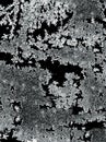 Frostwork pattern ice crystals on black background. Dark surface with ice structure makes to overlay or add a frost effect