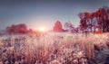 Frosty autumn landscape of november nature at sunrise. Scenery colorful autumn with hoarfrost Royalty Free Stock Photo