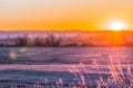 Frosty autumn morning. Western Siberia Royalty Free Stock Photo